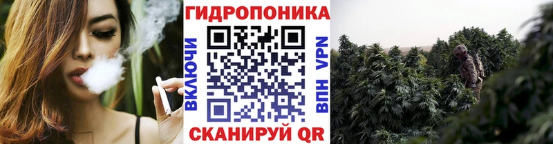 Марихуана OG Kush Вышний Волочёк